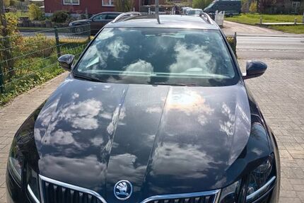 Skoda Octavia 290.000 km 8.500 &euro; Trappenkamp 24610