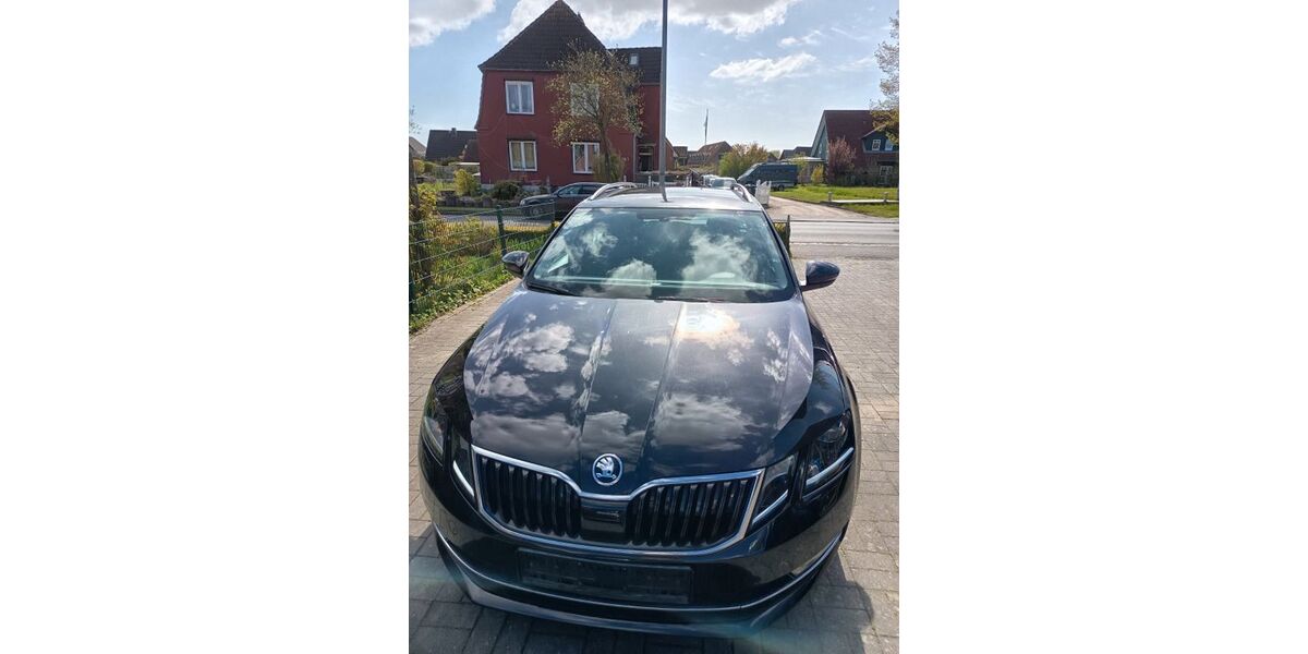 Skoda Octavia 290.000 km 8.500 &euro; Trappenkamp 24610