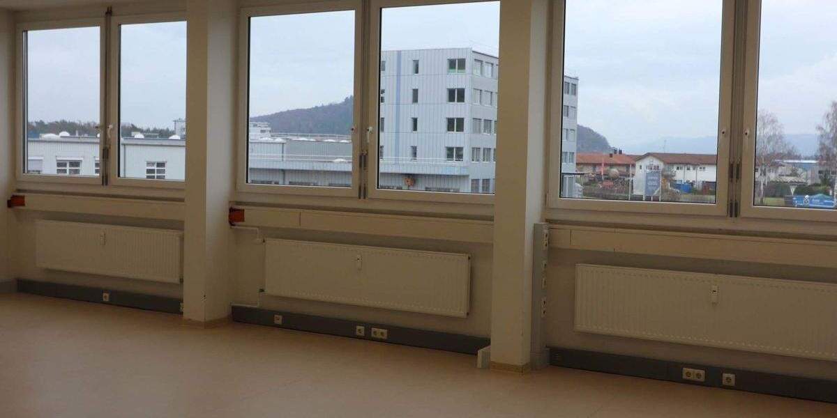 Gewerbeobjekt Gottmadingen - 24.500&euro; | Angebot:25780202