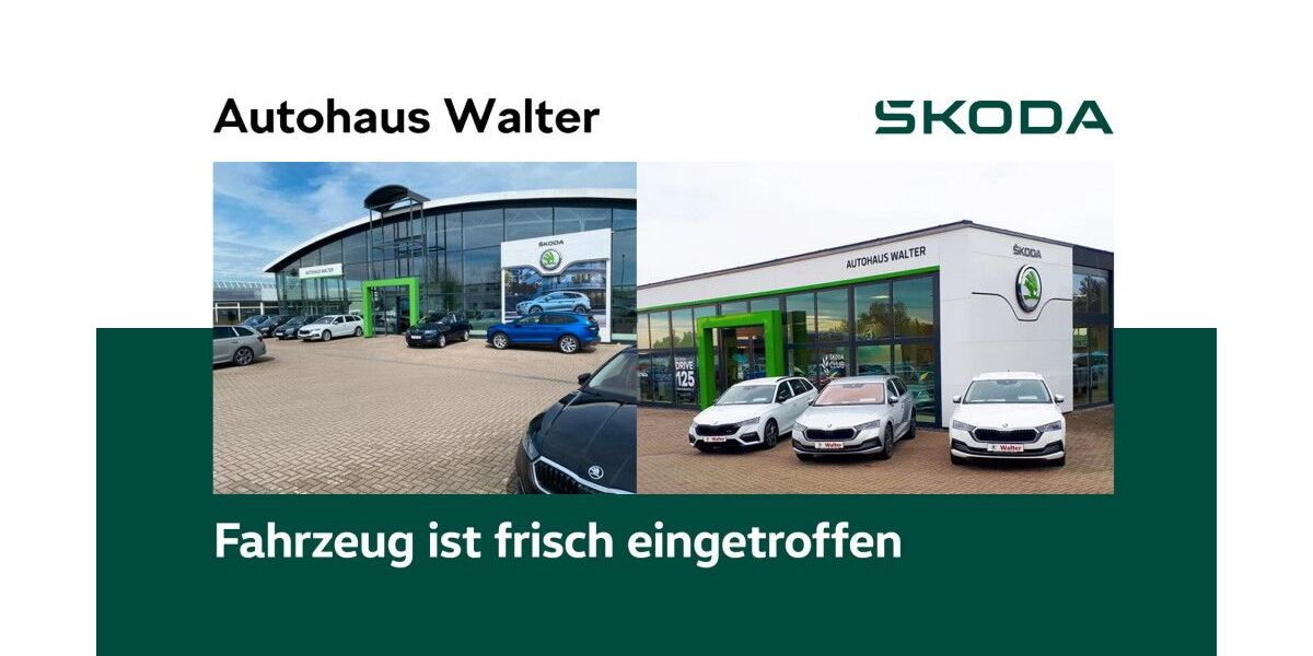 Skoda Kamiq 20.700 km 22.900 &euro; Sömmerda 99610