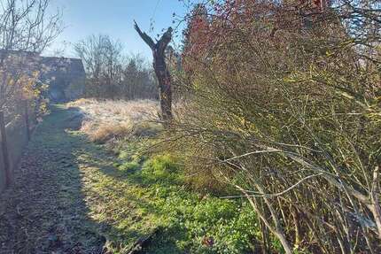 Grundstück zu verkaufen in Dessau-Roßlau 27.500 € 1190 m² zimmer