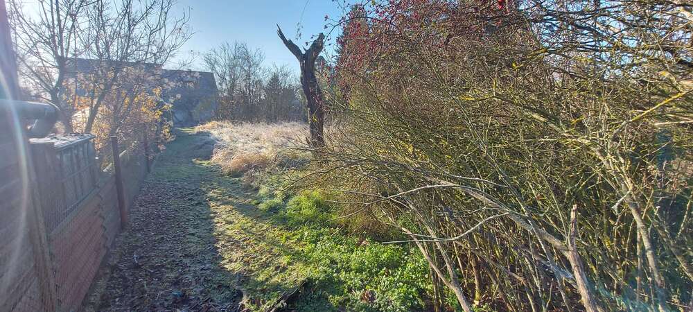 Grundstück zu verkaufen in Dessau-Roßlau 27.500 € 1190 m² zimmer