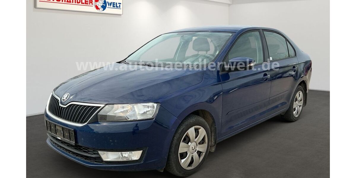 Skoda Rapid 180.339 km 3.999 &euro; Brehna 06796