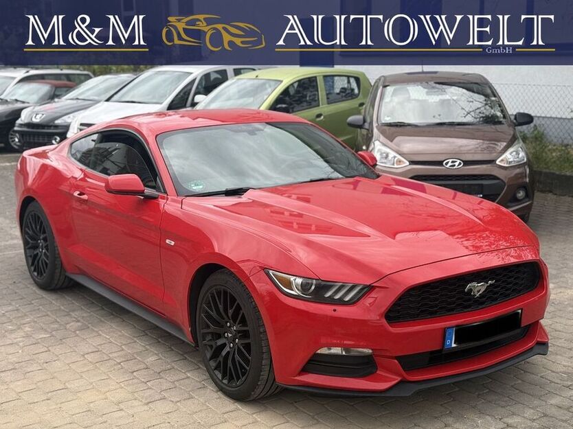Mustang