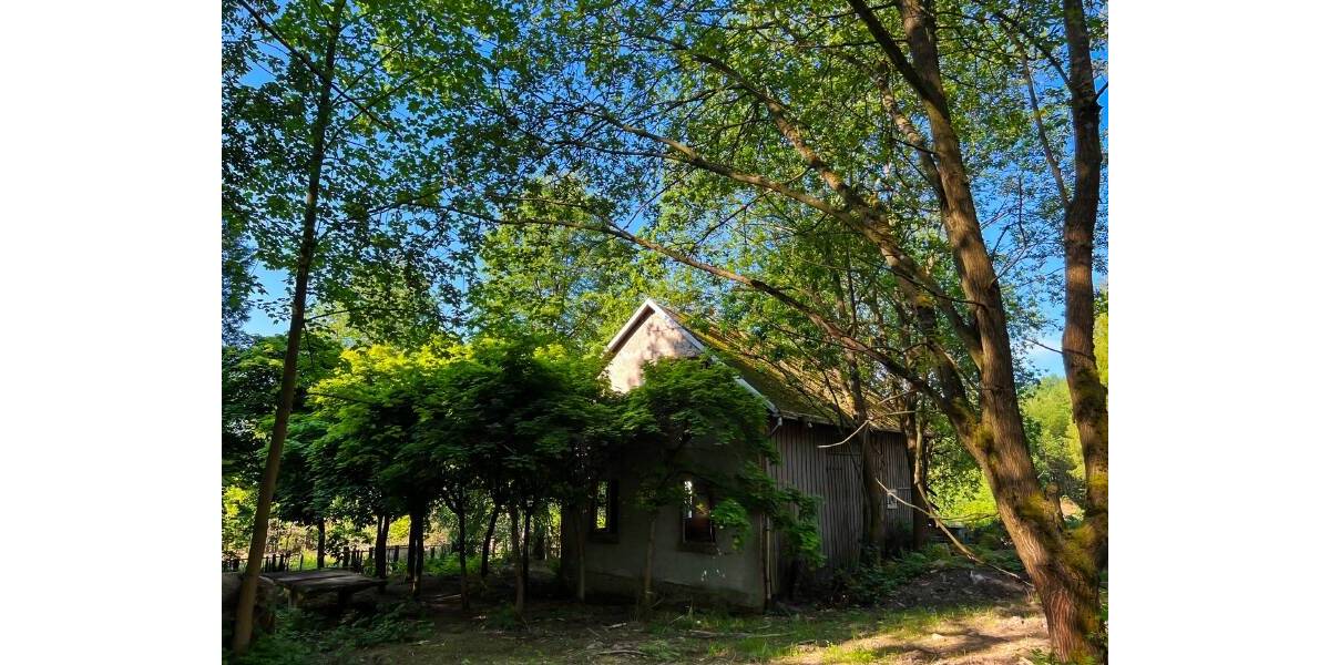 Bauernhaus, Landhaus Neustadt Berthelsdorf - 5 Zimmer, 150 m&sup2;, 485.000&euro; | Angebot:25770653