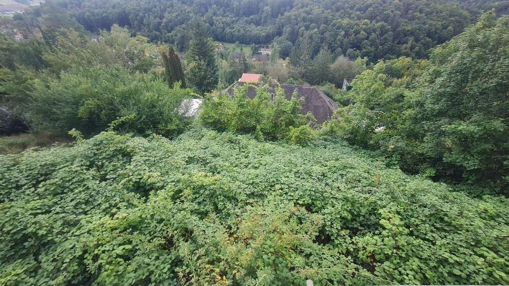 Grundstück Treuchtlingen - 395.000&euro; | Angebot:25664532