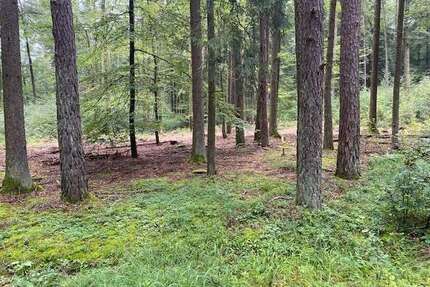 Grundstück in Kelheim Herrnsaal 47.000 € 5200 m²