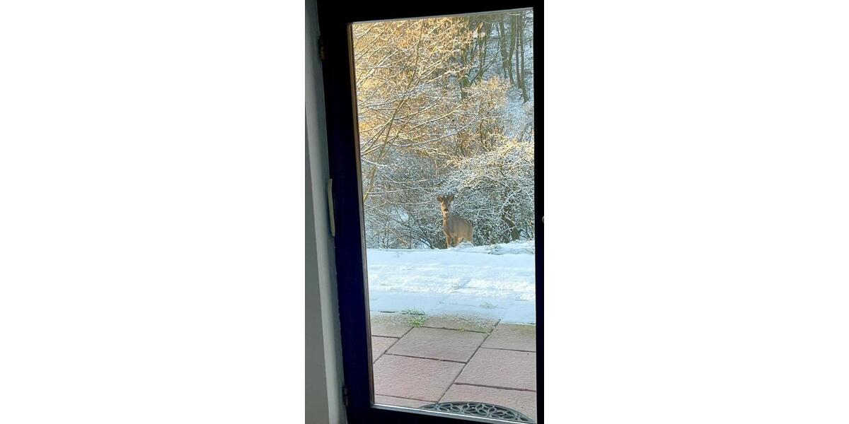 Einfamilienhaus Bad Soden am Taunus - 4 Zimmer, 90 m&sup2;, 800&euro; | Angebot:25337684