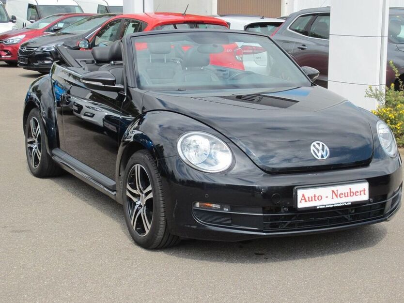 Beetle