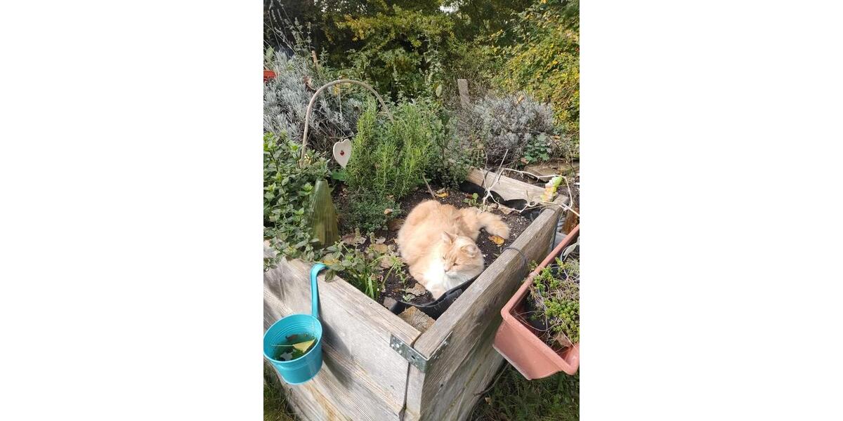 WG ZIMMER ländlich gelegen 1 zimmer