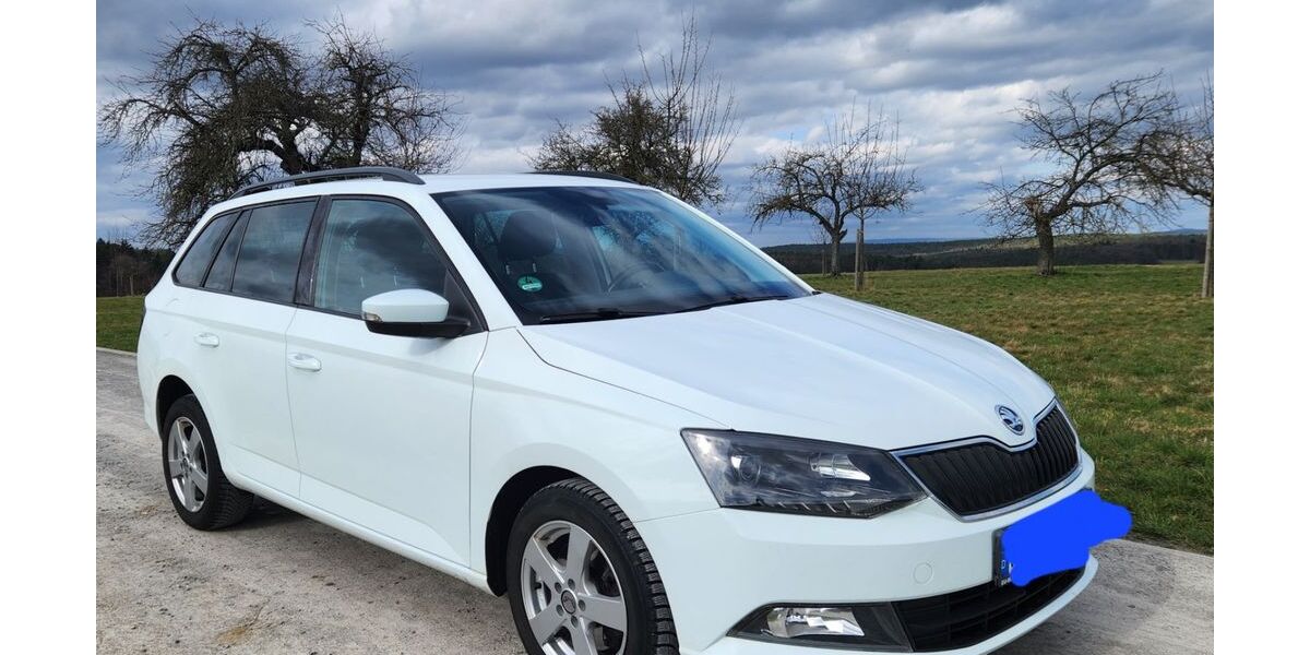 Skoda Fabia 102.200 km 9.200 &euro; Erlenbach am Main 63906