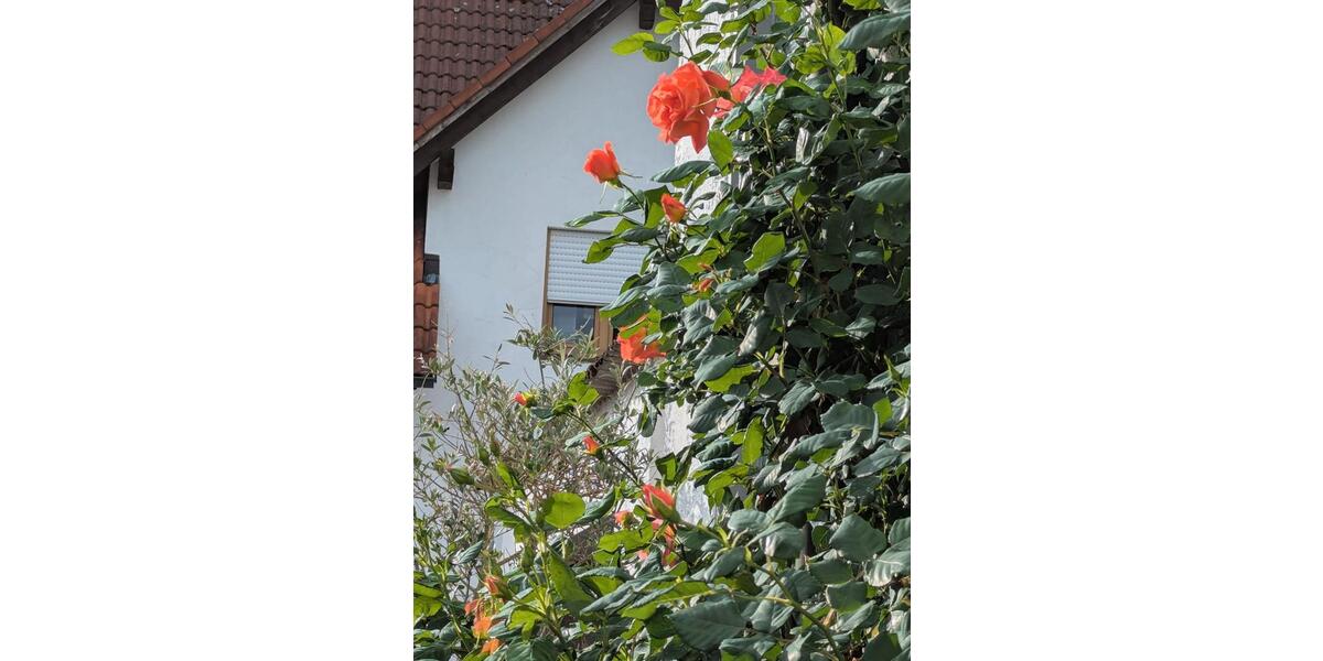 Einfamilienhaus Aindling - 3 Zimmer, 120 m&sup2;, 490.000&euro; | Angebot:26929434