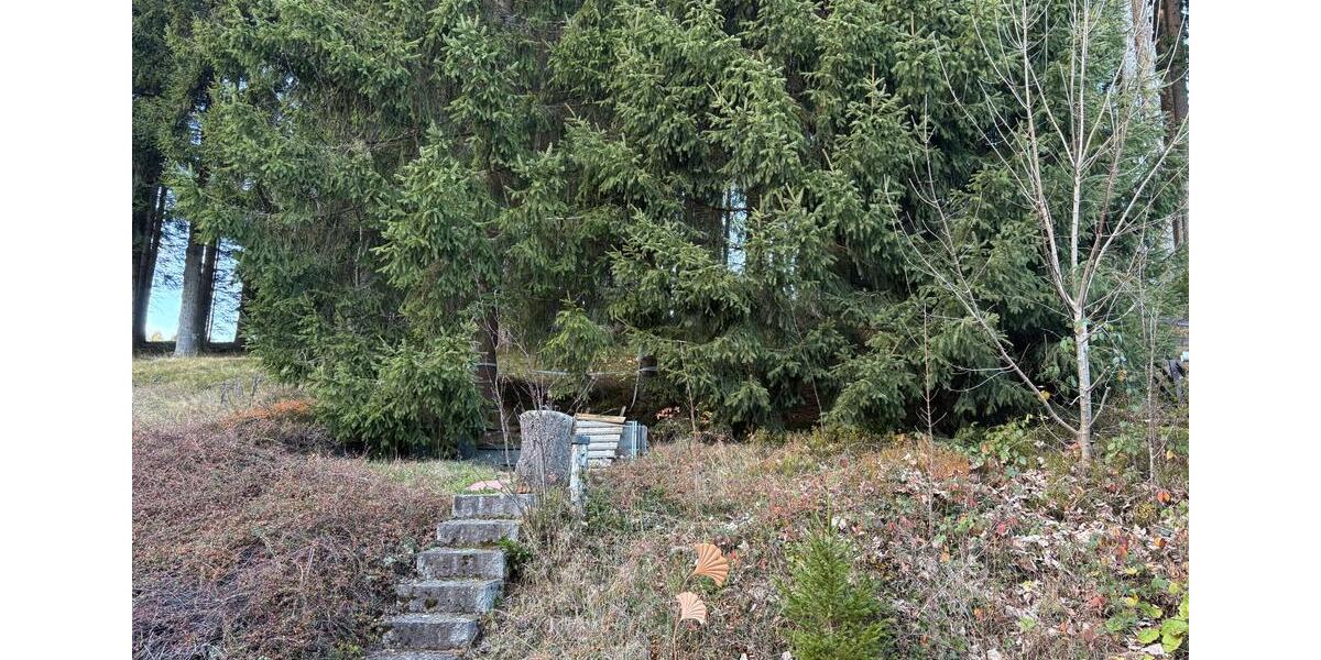 Reihenhaus Schönwald im Schwarzwald - 3 Zimmer, 82 m&sup2;, 880&euro; | Angebot:26418197
