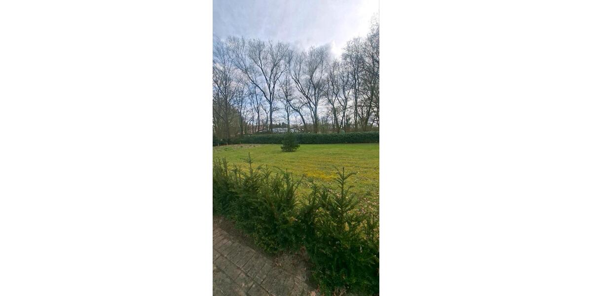 Erdgeschoßwohnung Molbergen - 1 Zimmer, 90 m&sup2;, 750&euro; | Angebot:25944696