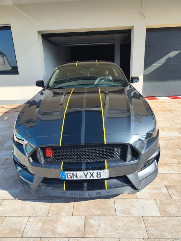 Mustang