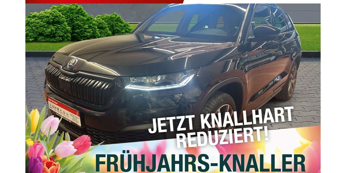 Skoda Kodiaq 81.547 km 35.870 &euro; Marktredwitz 95615