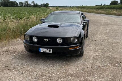 Ford Mustang 137.714 km 14.790 &euro; Habighorst 29359