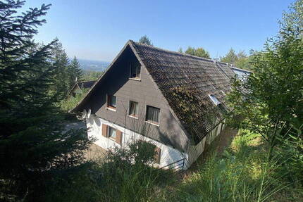 1,5 Zimmer Wohnung am Waldrand