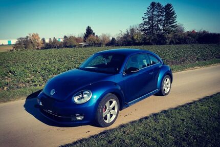VW Beetle