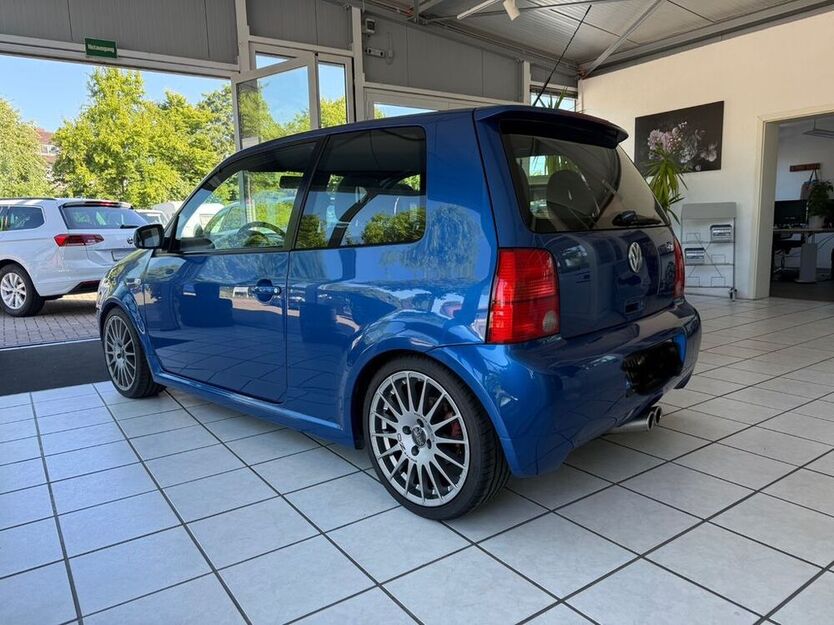 Lupo