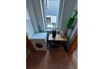 Etagenwohnung Clausthal-Zellerfeld Zellerfeld - 3 Zimmer, 60 m&sup2;, 450&euro; | Angebot:26740035