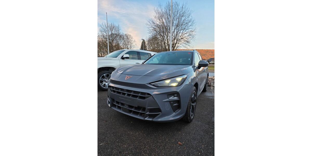 Cupra Terramar 14.952 km 44.980 &euro; Geisingen 78187