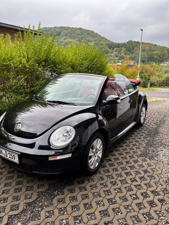 Beetle