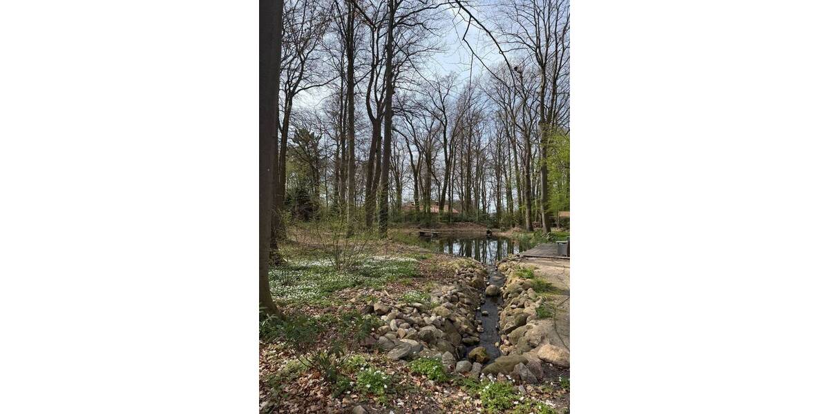 Etagenwohnung Suderburg Holxen - 2 Zimmer, 44 m&sup2;, 99.000&euro; | Angebot:26243928