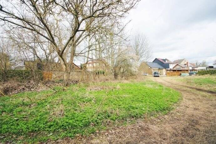 Grundstück Zahna-Elster Zahna - 85.000&euro; | Angebot:25748453