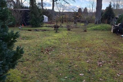 Haus Eggesin - 4 Zimmer, 80 m&sup2;, 89.000&euro; | Angebot:25402725