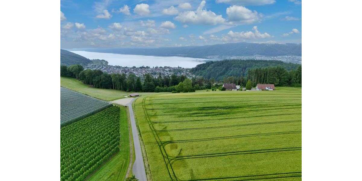 Haus zum Kaufen in Bodman-Ludwigshafen 6.280.000 € 721 m² 17 zimmer