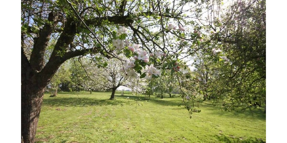 Mehrfamilienhaus, Wohnhaus Melle Neuenkirchen - 1 Zimmer, 367 m&sup2;, 990.000&euro; | Angebot:25689536