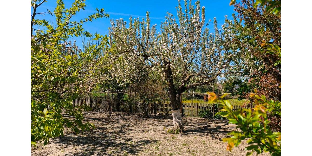 Einfamilienhaus Osterhofen - 6 Zimmer, 145 m&sup2;, 449.000&euro; | Angebot:26317025