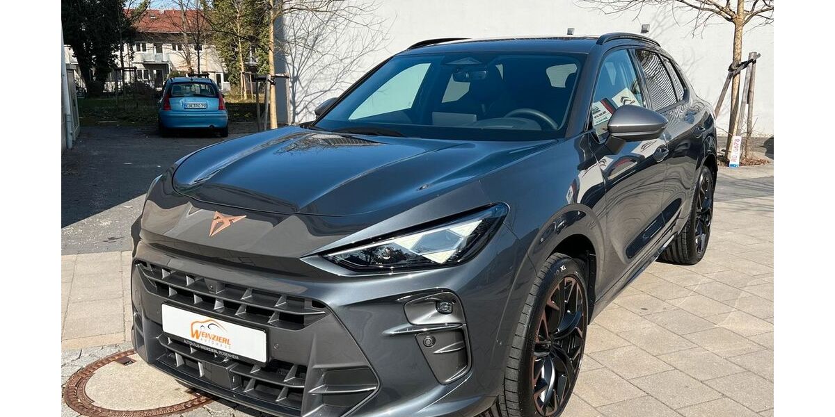 Cupra Terramar 3.500 km 45.980 &euro; Rosenheim 83022