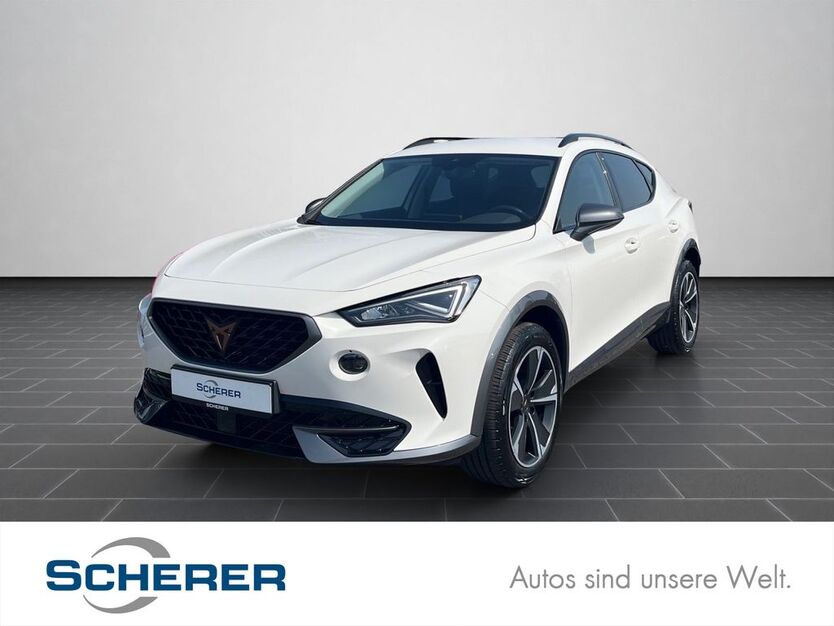 Cupra Formentor 39.456 km 21.280 € Mainz 55129