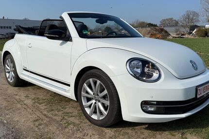 VW Beetle 66.771 km 14.980 &euro; Vreden 48691