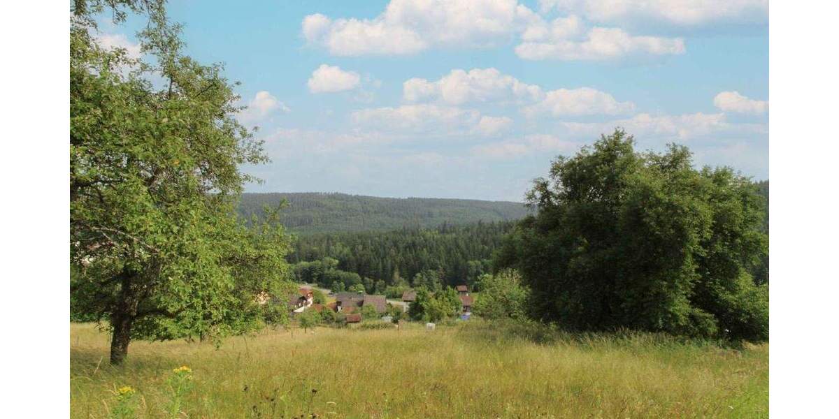 Grundstück Bad Wildbad Sprollenhaus - 124.500&euro; | Angebot:25167852