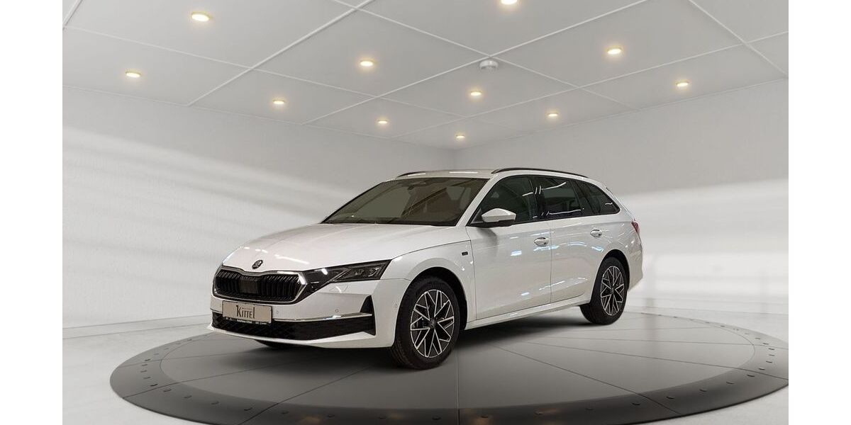 Skoda Octavia 12.500 km 41.990 &euro; Weißenfels 06667