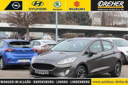 Ford Fiesta 87.497 km 9.490 &euro; Wangen 88239