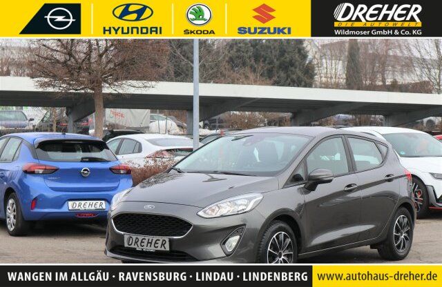 Ford Fiesta 87.497 km 9.490 &euro; Wangen 88239