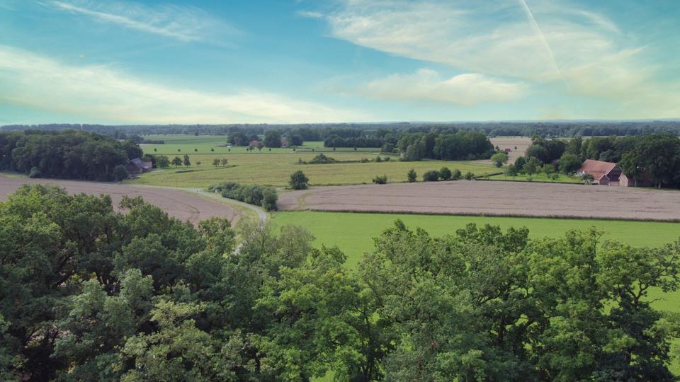 Gewerbeobjekt Badbergen - 125&euro; | Angebot:22011526