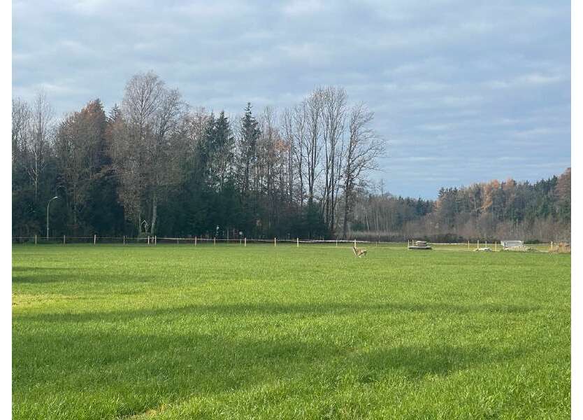 Grundstück zu verkaufen in Rosenheim 649.000 € 1000 m²