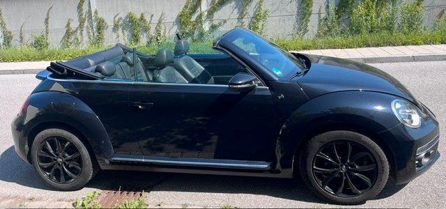 Beetle