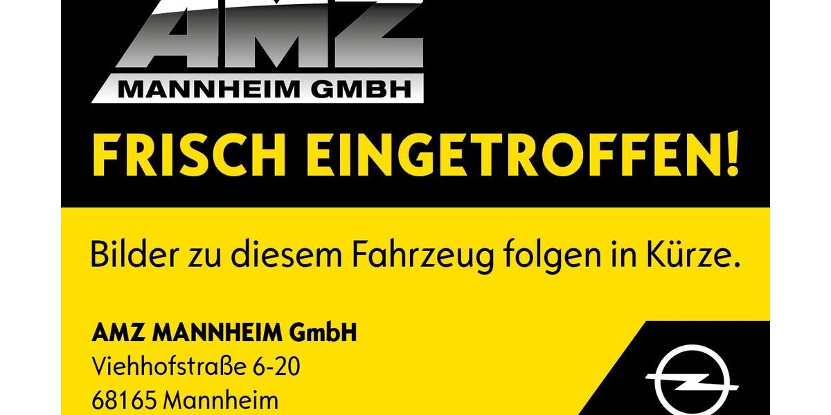 Opel Zafira Life 35.060 km 33.900 € Mannheim 68165