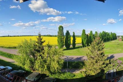 gepflegte, helle Dachgeschoss Wohnung mit Blick ins Grüne 2 zimmer