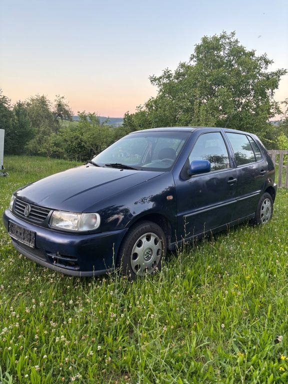 Polo