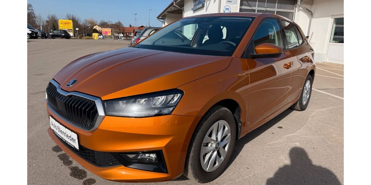 Skoda Fabia 10.990 km 17.990 &euro; Dösingen 87679