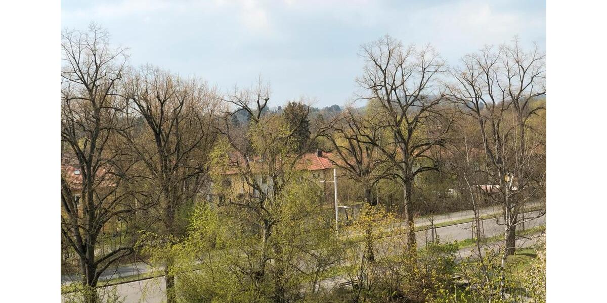 Etagenwohnung Bamberg Gereuth - 4 Zimmer, 90 m&sup2;, 1.250&euro; | Angebot:25296158