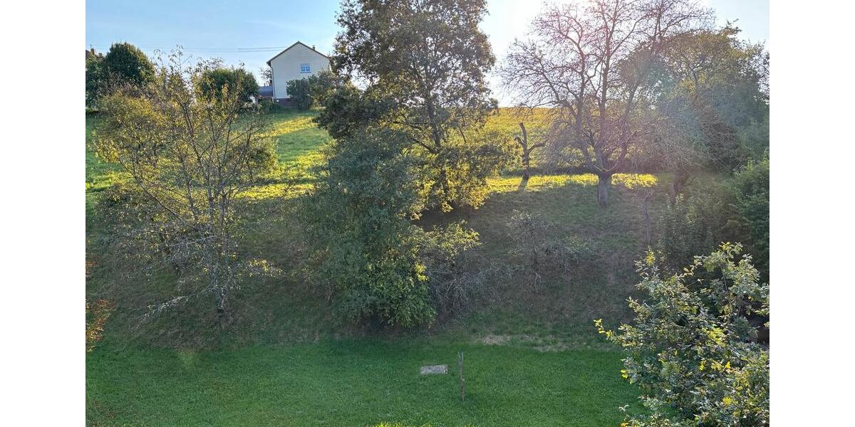 Dachgeschoßwohnung Zweibrücken - 3 Zimmer, 55 m&sup2;, 500&euro; | Angebot:26384596