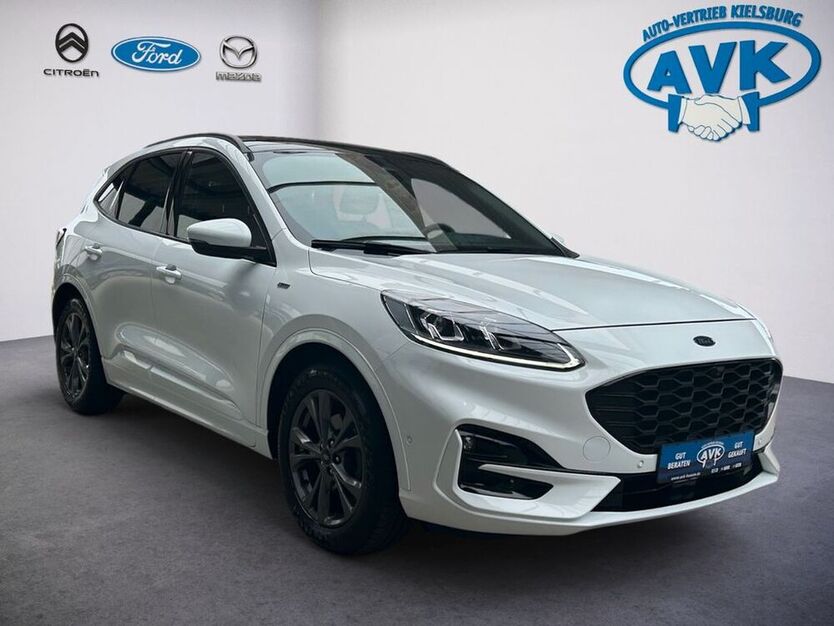 Kuga
